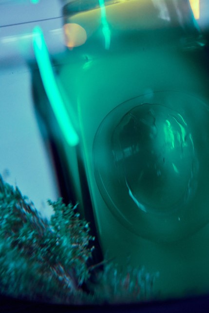 【CURIONOIR】 MOON MOSS 4ml CURIONOIR - MOON MOSS